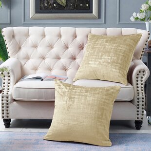 Home goods 2024 euro pillow